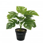 Cây giả để bàn cao 35cm - lá - rách